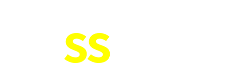 ss33